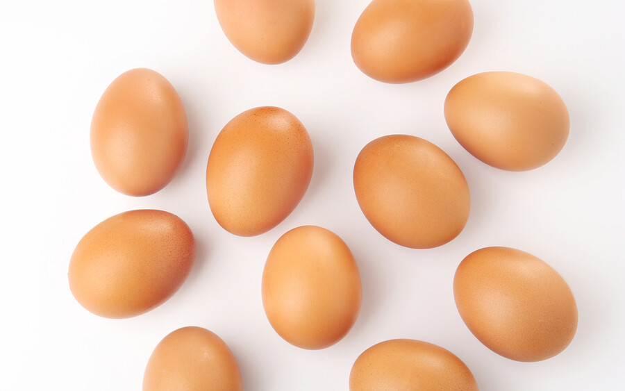 Egg Freezing Webinar