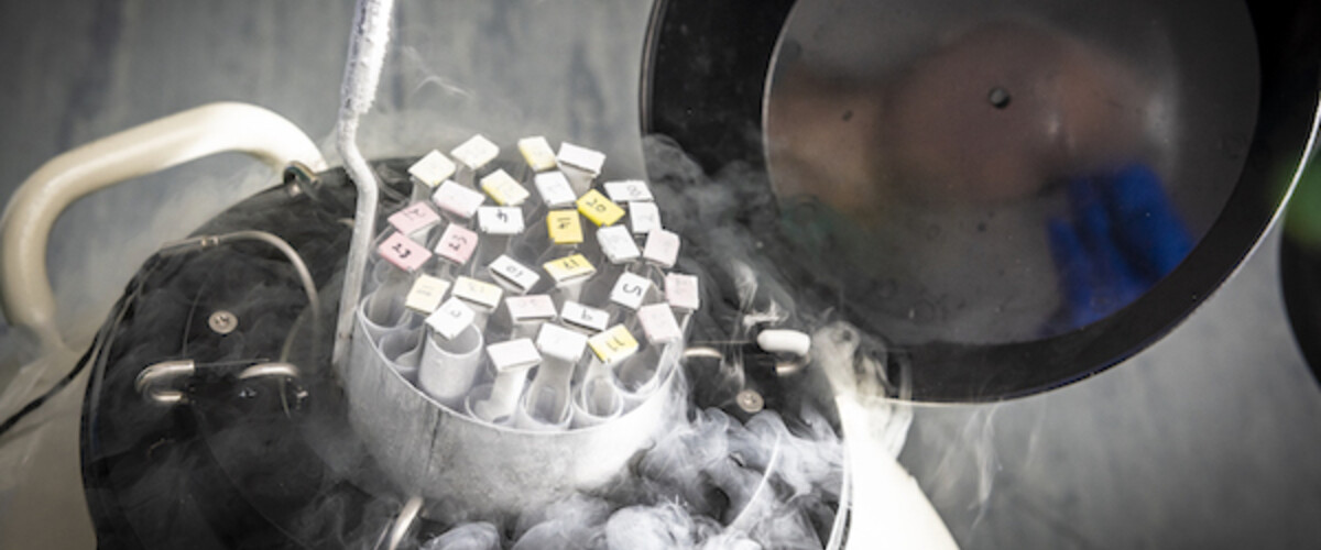 egg freezing