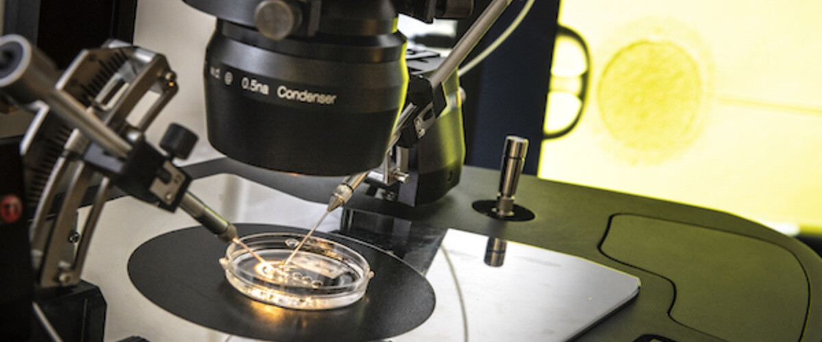 fertility treatments