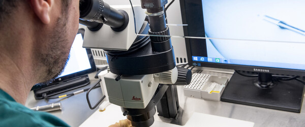 ivf technology